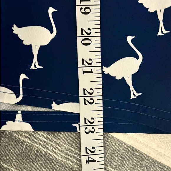 ⭐️Chivery,Chive-On,Swim Trunks, Excellent Condition,Fantastic Bird Print,Size 36 - Picture 6 of 9